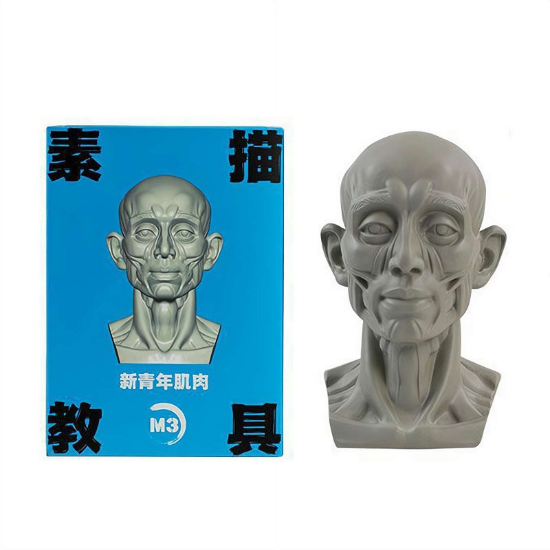 Head Model for Artists - Plaster Human Manikin Head | Medical & Artistic Drawing Teaching Aid | Drawing Sketching Painting (M33 1pcs) - Image 1